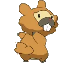 bidoofbutt