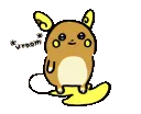 raichuzoom