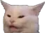Catmeme catmeme Discord Emoji