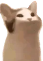 stillpopcat stillpopcat