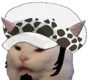 LawAngyCat