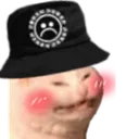 catblushhat Discord Emoji