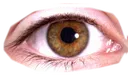 cursedeye