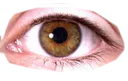 cursedeye2 cursedeye2