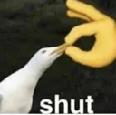shutyamouf