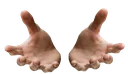 give