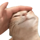 MA34_codm_catpat Discord emoji