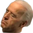 BidenSleeper
