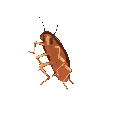 GH_codm_roachdance Discord emoji