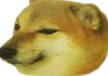 MA_CheemsburgerDogeStupidDumbDuh