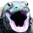 KomU