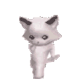 catdance