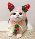 wholesomecat