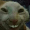 YIIIIIIIII