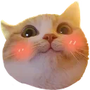 Cat Blush Cat_Blush Discord Emoji