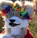 furry