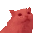 Ariorage