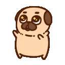 tc_pugdance