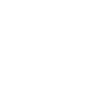 GottFriedChicken
