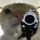 REN_GunCat Discord emoji