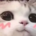 hill