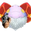 sonnorgun