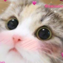 kittydonottake Discord emoji