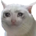 sadCat Discord Emoji