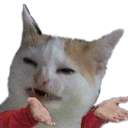 shrug_wat Discord emoji