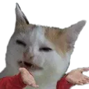 shrug_wat