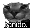 pantera_banido