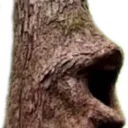loggers loggers