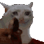 KK_catbang