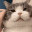 KK_squishycat