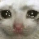 sad sad