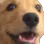 :WoweeW~2: