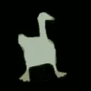duck duck