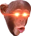apeshit apeshit