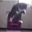 catup