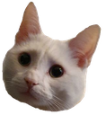 WL_Sherlock_of_Grey Discord emoji