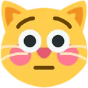 FlushedCat