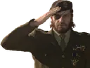 salute salute