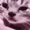 crycat