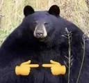 owo