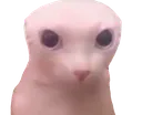 ballsack
