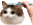 brushy