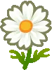 fleur_cosmos_rainbow