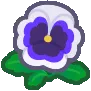 fleur_pensee_rainbow