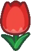 fleur_tulipe_rainbow