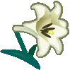 fleur_lys_rainbow